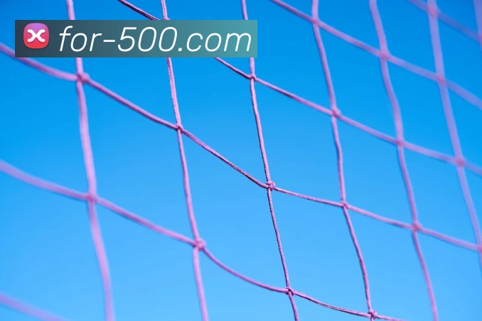 500彩票网官方服务体系